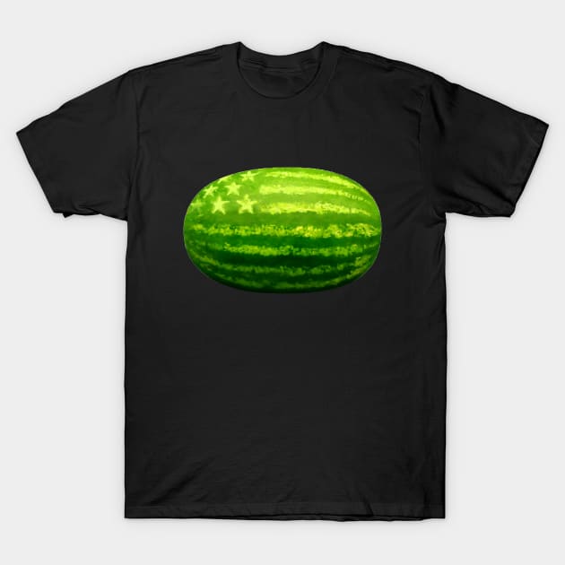 American Watermelon Large T-Shirt by DavidLoblaw